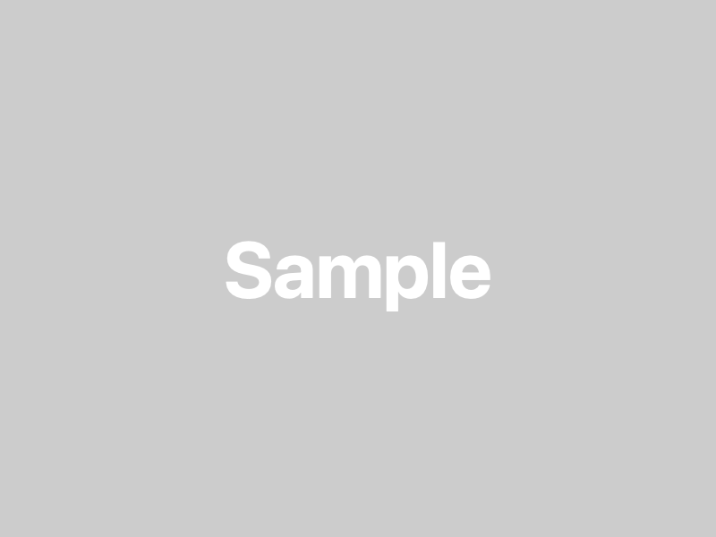 WP Starterとは